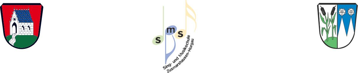 LogoSMSZH 5